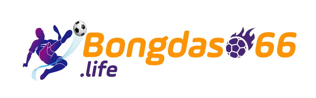 bongdaso66